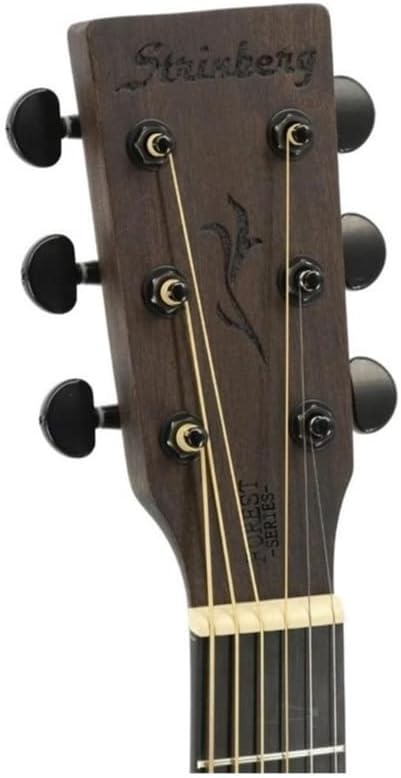 Violão Eletroacústico Strinberg Forest Fs4d Tobacco Tos + Capa
